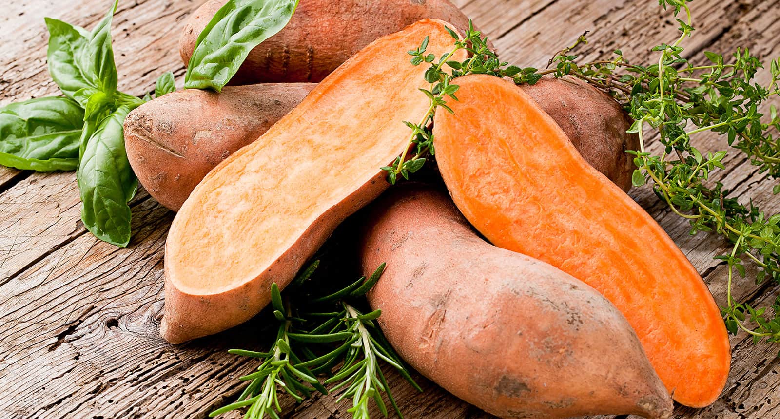 Sweet Potato